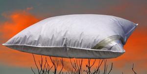 Подушка ШВЕЙЦАРИЯ подушка пуховая подушка 65х100 см 100% пух пушистый мягкий 850 г средний Betten Hofmann