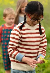 Полосатый джемпер Little Green Radicals, Red