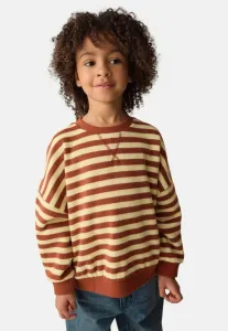 Толстовка Next, Yellow/Brown Stripe