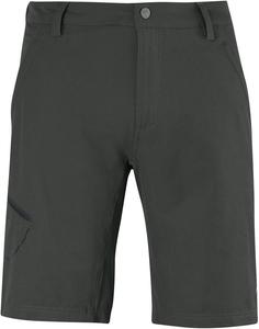 Мужские шорты Salomon Cosmic, Asphalt