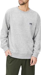 Толстовка унисекс Helly Hansen HH32411 с графическим принтом в виде бутылки на спине, серый