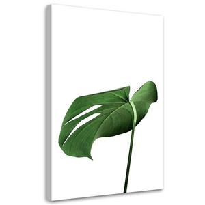 Картина арт-принт KUNSTLOFT Monstera Leaves, зеленый