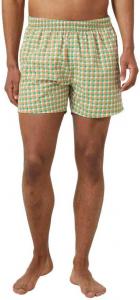 Мужские шорты Helly-Hansen Newport Helly Hansen, 498 Bright Green/Orange