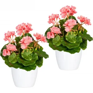 Искусственное растение для дома «Хавел» в горшке, набор из 2 шт Home Affaire, розовый