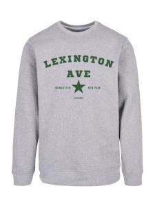 Толстовка F4NT4STIC Lexington Ave, Mottled Grey