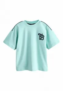 Обычная футболка с вышивкой, классического кроя. Baker By Ted Baker, Green