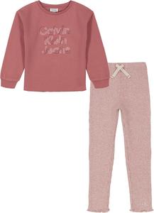 Комплект из 2-х модных леггинсов Calvin Klein для девочек, Withered Rose