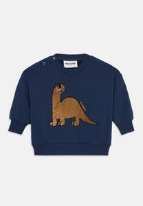 Толстовка Mini Rodini DINO APPLICATION UNISEX, Blue