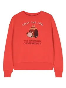 Толстовка Bear The Animals Observatory, красный