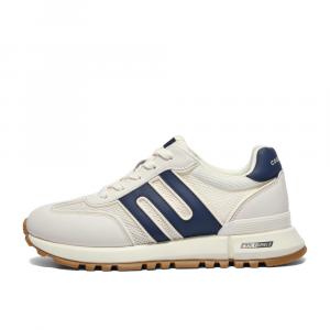 Мужские кроссовки Lifestyle с низким верхом, многоцветная Belle, белый/синий