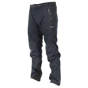 Брюки Pinguin Alpin S, серый