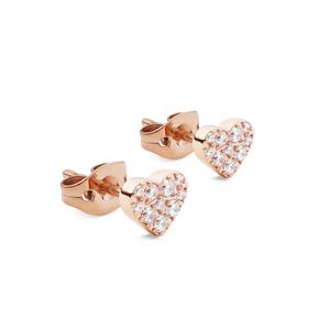 Серьги-гвоздики Daniel Wellington Alloy унисекс DW/DanielWellington