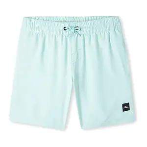 Шорты для плавания OВґneill Future Surf Society 14В'', синий