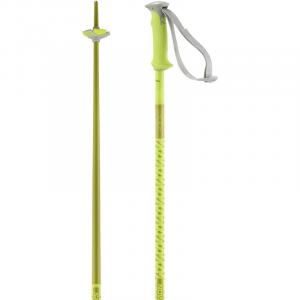 Мужские горнолыжные палки Polar Neon Yellow Salomon, neon yellow