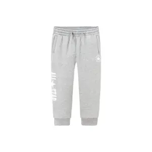 Детские спортивные штаны для детей 3-7 лет Rock Ridge Gray Converse, серый