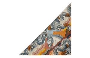 Шелковый шарф Unisex Brown HERMES