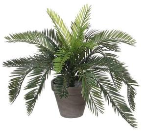 Декоративное растение Mica Decorations Cycas-Palme, 44x44x44 см, зеленый