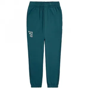 О'Нил Вау спортивные штаны O'neill, синий