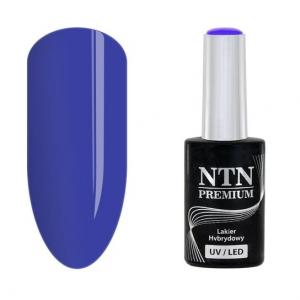 Гибридный лак для ногтей, 109, 5 г Ntn, Premium Show Collection