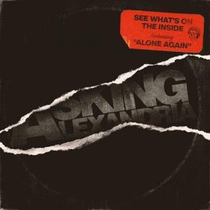 Виниловая пластинка Asking Alexandria - See What'S On The Inside