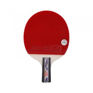 Ракетка для пинг-понга DOUBLE FISH, 3 star, penhold grip[short handle]