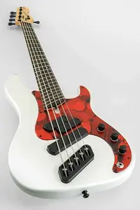 Dingwall SP1 5 2025 ПРЕДЗАКАЗ - Ducati белый