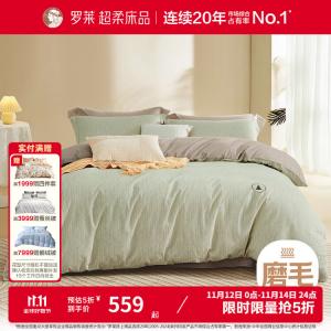 LUOLAI HOME Комплект постельного белья 4 предмета, простыня, 220x250 см