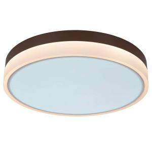 Светодиодный потолочный светильник Näve Lola, акриловое стекло / железо - 1 пламя