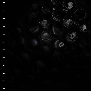 Виниловая пластинка Crumb: Ice Melt