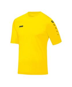 Джерси Jako TEAM, желтый