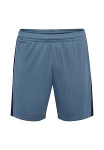 Спортивные шорты PULSE STRIPE BLOCKED Hummel, синий