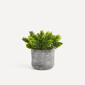 Искусственный самшит в цементном горшке. - El Corte Inglés, зеленый