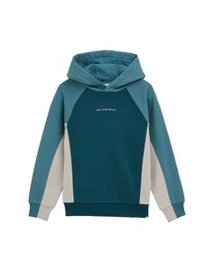 Толстовка WE Fashion, синий