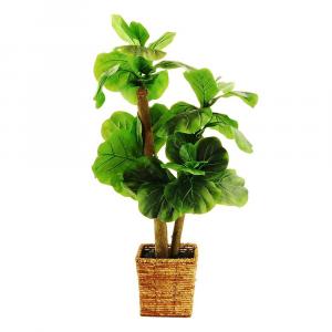 Дизайн Лорен Искусственный лист-скрипка Фиговое дерево Designs by Lauren, зеленый