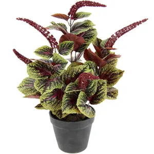 И.ГЕ.А. Искусственное растение «Карликовый перец» в горшке I.Ge.A., зеленый/красный