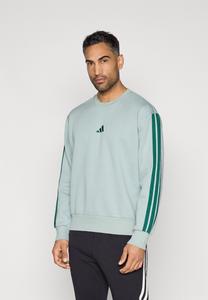 Толстовка Adidas Sportswear Sweatshirt, Sage/Collegiate Green/Light Green