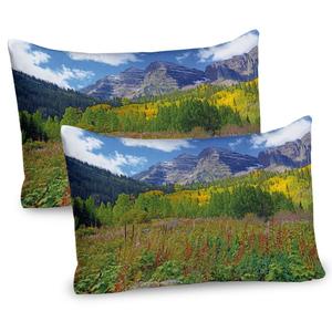 ABAKUHAUS Горы, набор из 2 чехлов на подушку, природный пейзаж с осенними листьями, осинами, темно-бордовые колокольчики и заснеженные холмы, чехол для подушки с декоративным принтом, 80 x 40 см, многоцветный