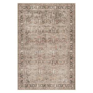 Коллекция Hillstone, традиционный винтажный медальонный ковер Nuloom, коричневый, 244x305 см