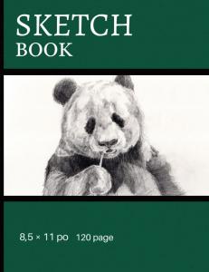 Sketchbook (Independently published)