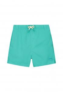 Пляжные шорты Shiwi, синий