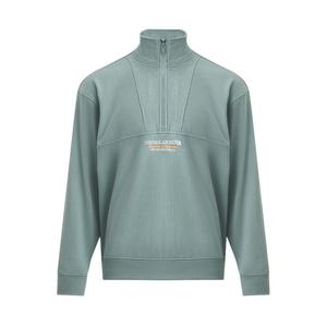 Under Armour Толстовка Men's Snakeshirt Print Stone Green 323