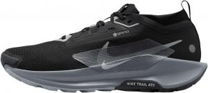 Кроссовки Nike мужские Pegasus Trail 5 Gore-tex, Black/Wolf Grey/Cool Grey/Anthracite