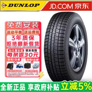 Dunlop Зимние шины WM03, противоскользящие, продается только комплектом из 4 штук, 205/50R17 89S