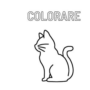 COLORARE (Italian Edition) (Independently published)