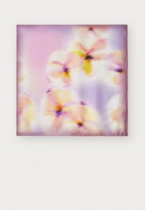 Шарф BATTISTA MAX&Co., сиреневый