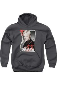 Толстовка с капюшоном Harry Potter Draco Frame для молодежи Gildan, Charcoal