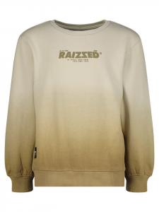 Толстовка RAIZZED, цвет hellbraun/beige