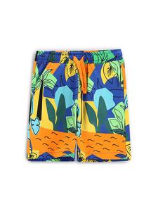 Спортивные шорты обычного кроя WC5121501TBK Coccodrillo, мультиколор