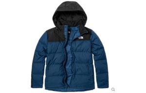 THE NORTH FACE Мужской пуховик, цвет Blue
