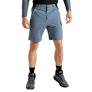 Шорты Dare2B Torrek II, серый